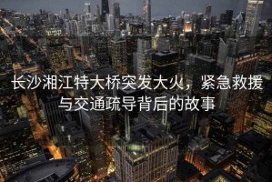 長(cháng)沙湘江特大橋突發(fā)大火，緊急救援與交通疏導背后的故事