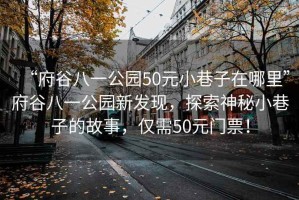 “府谷八一公園50元小巷子在哪里”府谷八一公園新發(fā)現，探索神秘小巷子的故事，僅需50元門(mén)票！