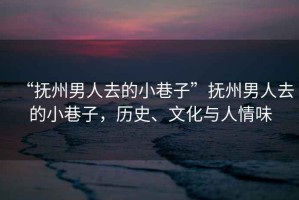 “撫州男人去的小巷子”撫州男人去的小巷子，歷史、文化與人情味