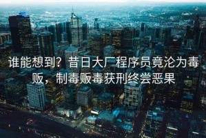 誰(shuí)能想到？昔日大廠(chǎng)程序員竟淪為毒販，制毒販毒獲刑終嘗惡果