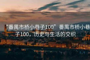 “番禺市橋小巷子100”番禺市橋小巷子100，歷史與生活的交織