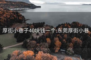 厚街小巷子40塊錢(qián)一個(gè):東莞厚街小巷