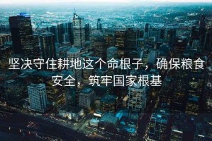 堅決守住耕地這個(gè)命根子，確保糧食安全，筑牢國家根基