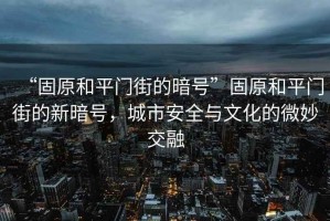 “固原和平門(mén)街的暗號”固原和平門(mén)街的新暗號，城市安全與文化的微妙交融
