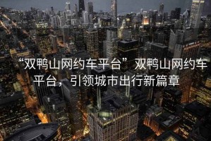 “雙鴨山網(wǎng)約車(chē)平臺”雙鴨山網(wǎng)約車(chē)平臺，引領(lǐng)城市出行新篇章