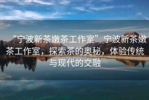 “寧波新茶嫩茶工作室”寧波新茶嫩茶工作室，探索茶的奧秘，體驗傳統與現代的交融