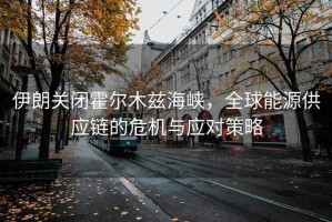 伊朗關(guān)閉霍爾木茲海峽，全球能源供應鏈的危機與應對策略