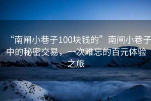 “南閘小巷子100塊錢(qián)的”南閘小巷子中的秘密交易，一次難忘的百元體驗之旅