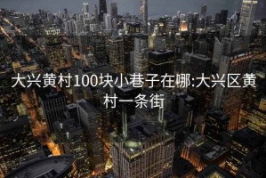 大興黃村100塊小巷子在哪:大興區黃村一條街