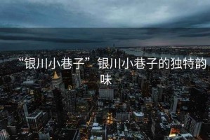 “銀川小巷子”銀川小巷子的獨特韻味
