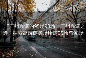 “廣州靠譜的95場(chǎng)98場(chǎng)”廣州靠譜之選，探索高端商務(wù)場(chǎng)所的95場(chǎng)與98場(chǎng)