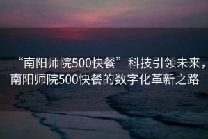 “南陽(yáng)師院500快餐”科技引領(lǐng)未來(lái)，南陽(yáng)師院500快餐的數字化革新之路