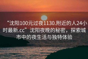 “沈陽(yáng)100元過(guò)夜1130.附近的人24小時(shí)最新.cc”沈陽(yáng)夜晚的秘密，探索城市中的夜生活與獨特體驗