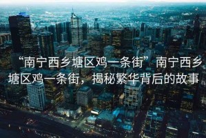“南寧西鄉塘區雞一條街”南寧西鄉塘區雞一條街，揭秘繁華背后的故事