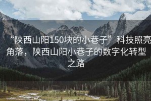 “陜西山陽(yáng)150塊的小巷子”科技照亮角落，陜西山陽(yáng)小巷子的數字化轉型之路
