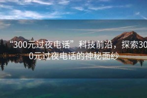 “300元過(guò)夜電話(huà)”科技前沿，探索300元過(guò)夜電話(huà)的神秘面紗