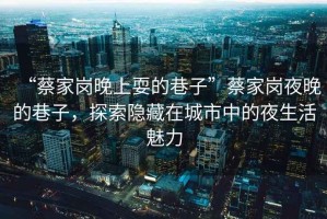 “蔡家崗晚上耍的巷子”蔡家崗夜晚的巷子，探索隱藏在城市中的夜生活魅力