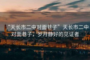 “天長(cháng)市二中對面巷子”天長(cháng)市二中對面巷子，歲月靜好的見(jiàn)證者