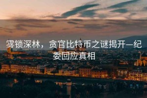 霧鎖深林，貪官比特幣之謎揭開(kāi)—紀委回應真相