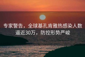 專(zhuān)家警告，全球基孔肯雅熱感染人數逼近30萬(wàn)，防控形勢嚴峻