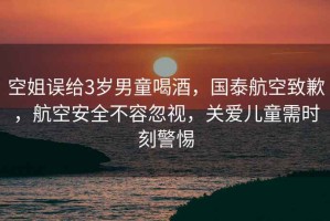 空姐誤給3歲男童喝酒，國泰航空致歉，航空安全不容忽視，關(guān)愛(ài)兒童需時(shí)刻警惕