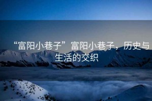 “富陽(yáng)小巷子”富陽(yáng)小巷子，歷史與生活的交織