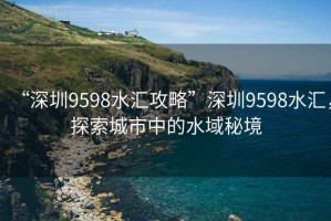 “深圳9598水匯攻略”深圳9598水匯，探索城市中的水域秘境