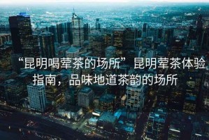 “昆明喝葷茶的場(chǎng)所”昆明葷茶體驗指南，品味地道茶韻的場(chǎng)所