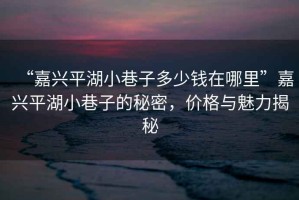 “嘉興平湖小巷子多少錢(qián)在哪里”嘉興平湖小巷子的秘密，價(jià)格與魅力揭秘