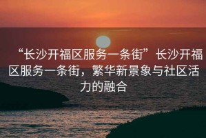 “長(cháng)沙開(kāi)福區服務(wù)一條街”長(cháng)沙開(kāi)福區服務(wù)一條街，繁華新景象與社區活力的融合