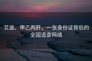 艾滋、甲乙丙肝，一張身份證背后的全國追查網(wǎng)絡(luò )