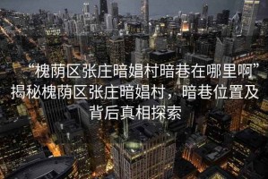 “槐蔭區張莊暗娼村暗巷在哪里啊”揭秘槐蔭區張莊暗娼村，暗巷位置及背后真相探索
