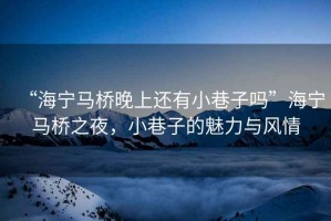 “海寧馬橋晚上還有小巷子嗎”海寧馬橋之夜，小巷子的魅力與風(fēng)情
