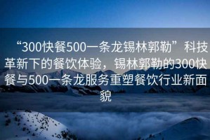 “300快餐500一條龍錫林郭勒”科技革新下的餐飲體驗，錫林郭勒的300快餐與500一條龍服務(wù)重塑餐飲行業(yè)新面貌