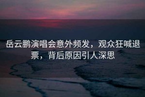 岳云鵬演唱會(huì )意外頻發(fā)，觀(guān)眾狂喊退票，背后原因引人深思