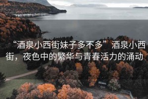 “酒泉小西街妹子多不多”酒泉小西街，夜色中的繁華與青春活力的涌動(dòng)