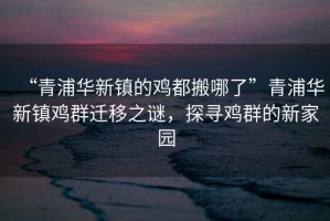 “青浦華新鎮的雞都搬哪了”青浦華新鎮雞群遷移之謎，探尋雞群的新家園