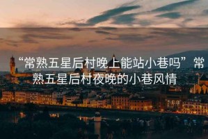“常熟五星后村晚上能站小巷嗎”常熟五星后村夜晚的小巷風(fēng)情