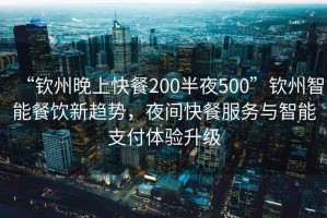 “欽州晚上快餐200半夜500”欽州智能餐飲新趨勢，夜間快餐服務(wù)與智能支付體驗升級