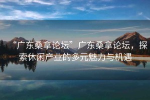 “廣東桑拿論壇”廣東桑拿論壇，探索休閑產(chǎn)業(yè)的多元魅力與機遇