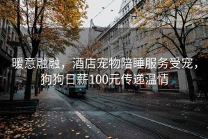 暖意融融，酒店寵物陪睡服務(wù)受寵，狗狗日薪100元傳遞溫情