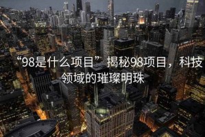 “98是什么項目”揭秘98項目，科技領(lǐng)域的璀璨明珠