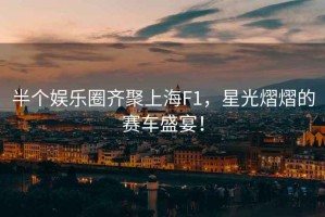 半個(gè)娛樂(lè )圈齊聚上海F1，星光熠熠的賽車(chē)盛宴！