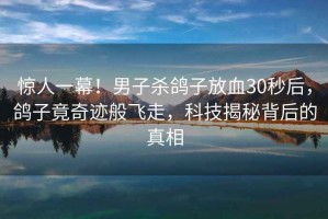 驚人一幕！男子殺鴿子放血30秒后，鴿子竟奇跡般飛走，科技揭秘背后的真相