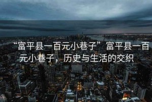 “富平縣一百元小巷子”富平縣一百元小巷子，歷史與生活的交織