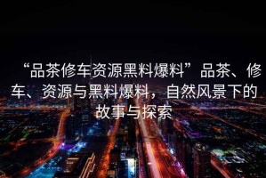 “品茶修車(chē)資源黑料爆料”品茶、修車(chē)、資源與黑料爆料，自然風(fēng)景下的故事與探索