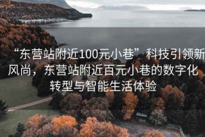“東營(yíng)站附近100元小巷”科技引領(lǐng)新風(fēng)尚，東營(yíng)站附近百元小巷的數字化轉型與智能生活體驗