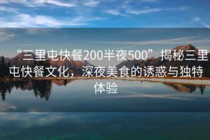 “三里屯快餐200半夜500”揭秘三里屯快餐文化，深夜美食的誘惑與獨特體驗