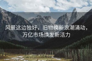 風(fēng)景這邊獨好，舊物換新浪潮涌動(dòng)，萬(wàn)億市場(chǎng)煥發(fā)新活力