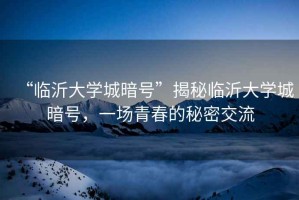 “臨沂大學(xué)城暗號”揭秘臨沂大學(xué)城暗號，一場(chǎng)青春的秘密交流